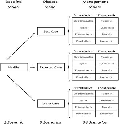 Assessing the Value of Antibiotics on Farms: Modeling the Impact of Antibiotics and Vaccines for Managing Lawsonia intracellularis in Hog Production